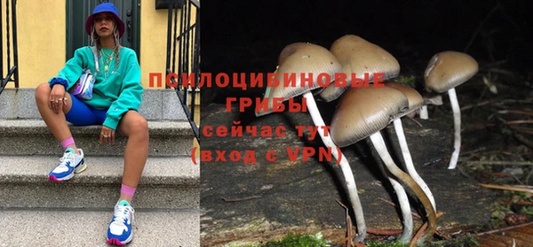 шишки Армянск