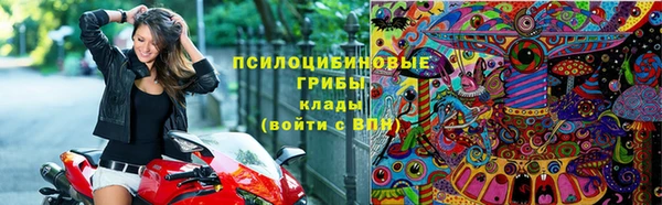 apvp Арсеньев