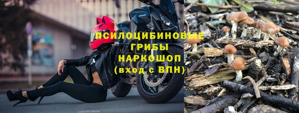 apvp Арсеньев