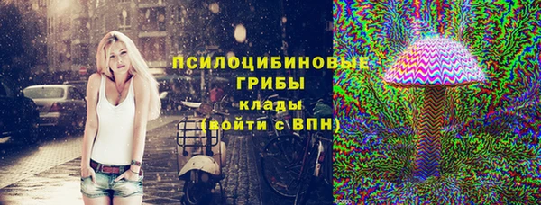 apvp Арсеньев