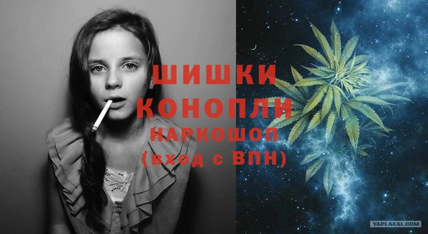 шишки Армянск