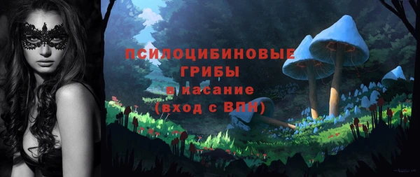 шишки Армянск