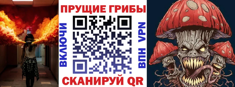 купить закладку  Пустошка  Галлюциногенные грибы Magic Shrooms 